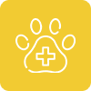 Vet surgery